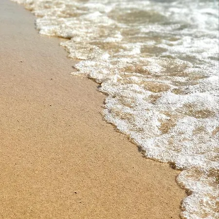 Myricae - Una Terrazza A Due Passi Dal Mare *